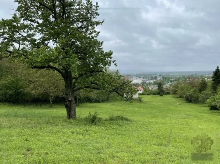 Esztergom 6